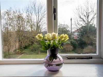 Picture 24